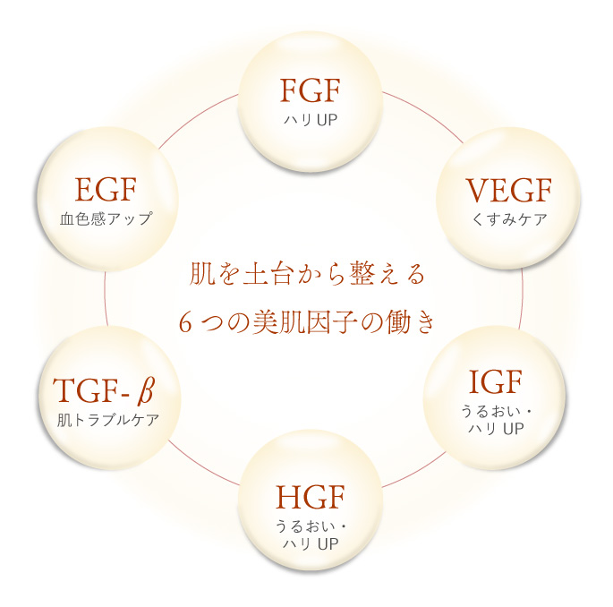 コスメアカデミア　特徴
